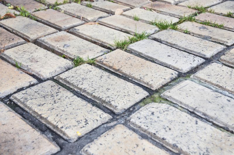 Brick Flatwork Repair in Bainbridge Island, WA