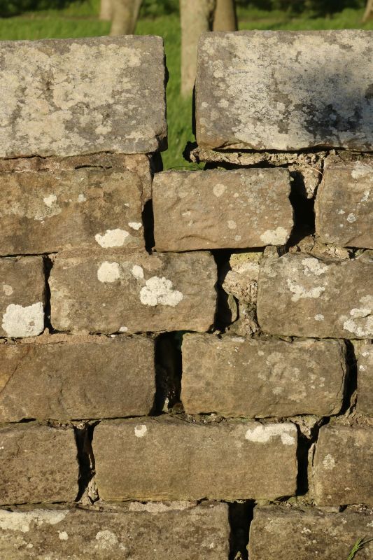 Stone Wall Repair in Silverdale, WA